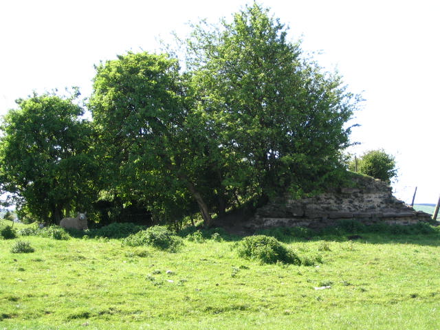 Image 17 of 23  -  85 kB